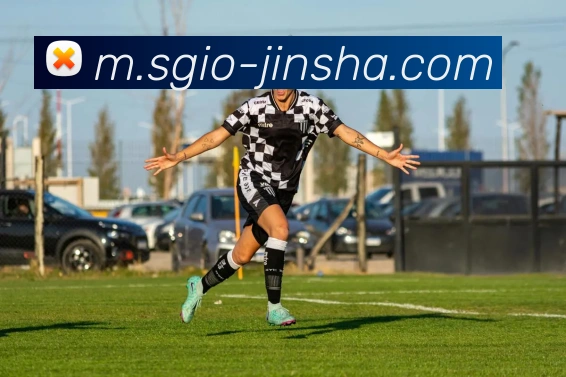 数据防护可视化